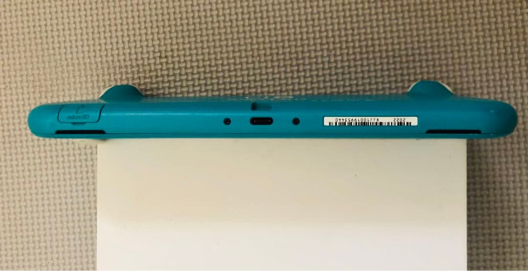 【ジャンク品】Nintendo Switch Lite