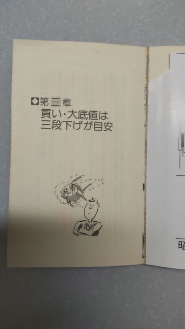 【希少本】必ず上がる株 大底値方程式が見つかった!