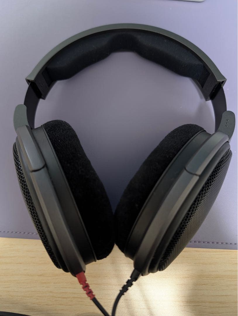 Sennheiser HD 600 有線ヘッドホン