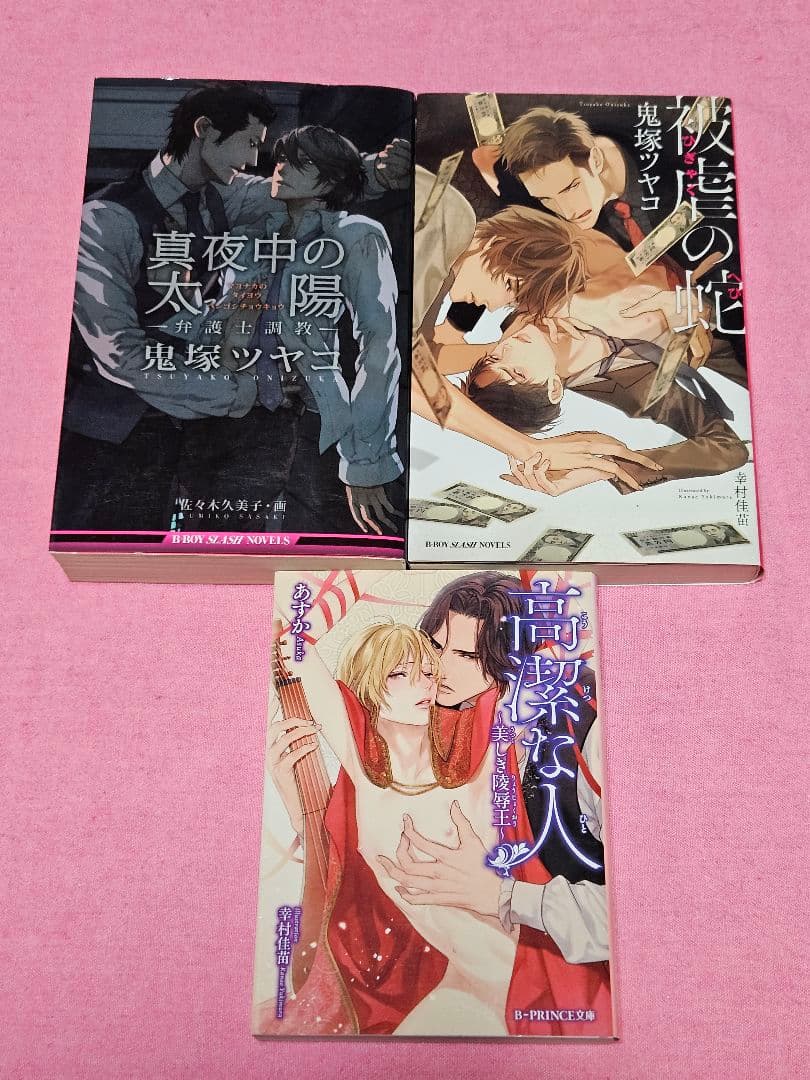 人気小説『二哈和他的白猫師尊(ハスキーとかれのしろねこしずん)』全巻　オマケ付き