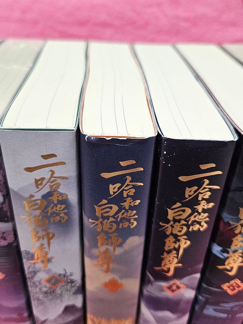 人気小説『二哈和他的白猫師尊(ハスキーとかれのしろねこしずん)』全巻　オマケ付き