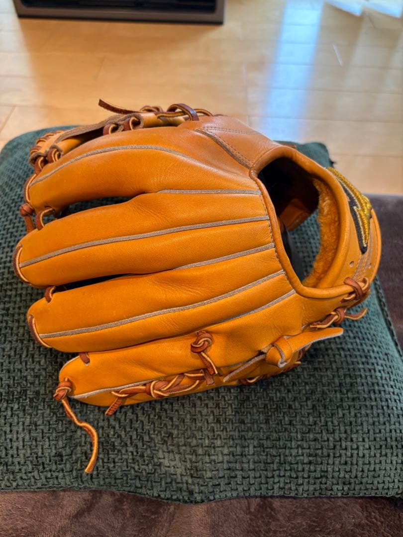 Mizuno ミズノプロ 硬式グローブ