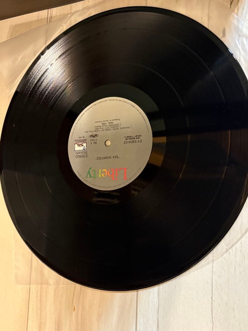 High Tide/Sea Shanties/DY-5804-02 LPレコード