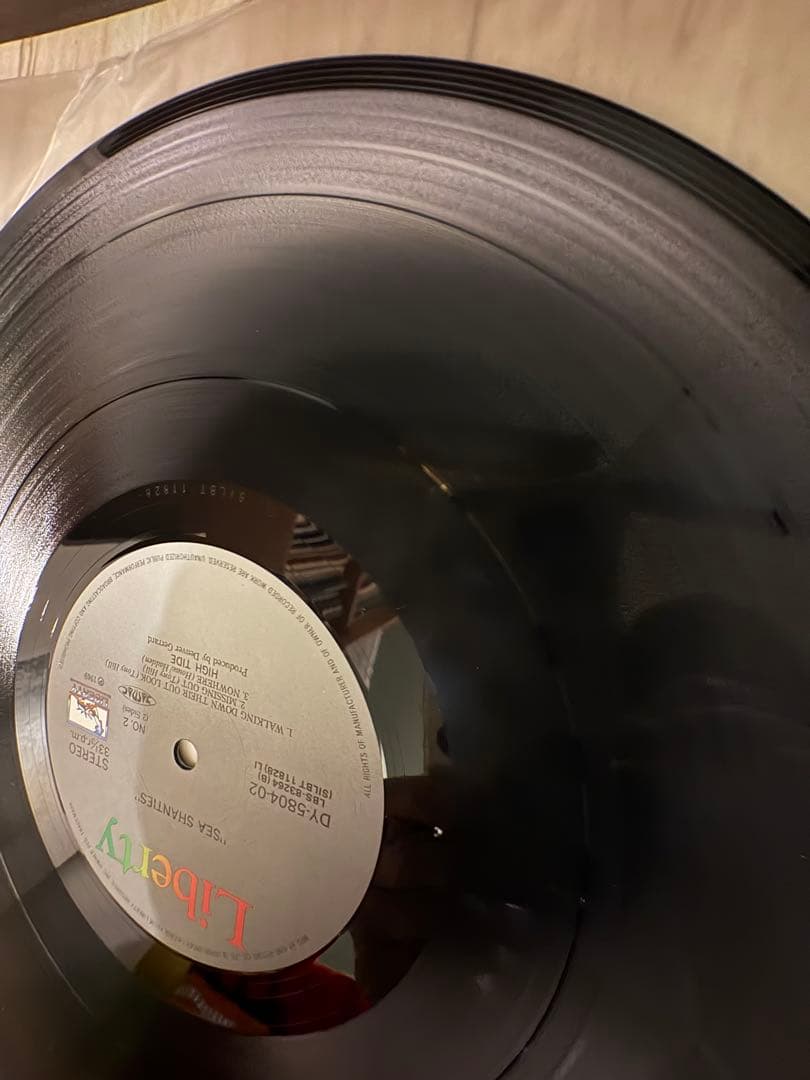 High Tide/Sea Shanties/DY-5804-02 LPレコード