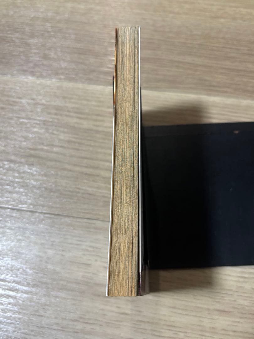 王狼 初版 三浦建太郎 武論尊 ベルセルク作者
