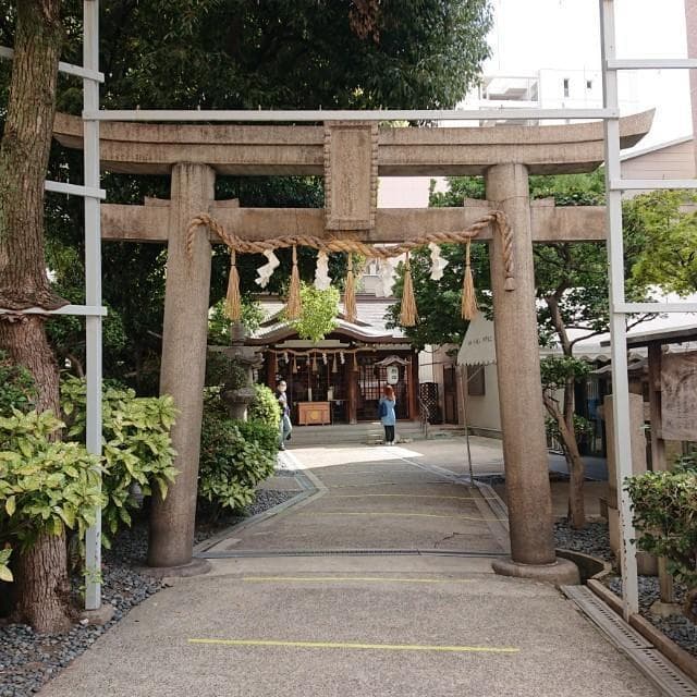 金運 龍 御守り ゴールド 高エネルギー サムハラ 蛇 風水 金運 財布 希少