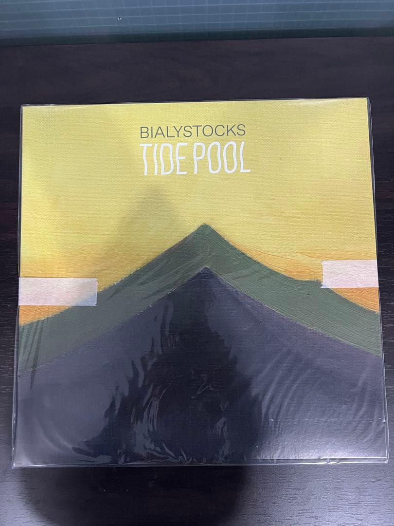 BIALYSTOCKS TIDE POOL レコード