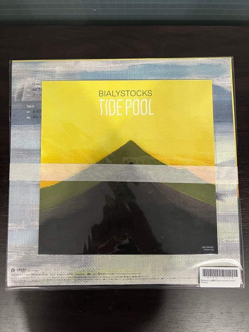 BIALYSTOCKS TIDE POOL レコード