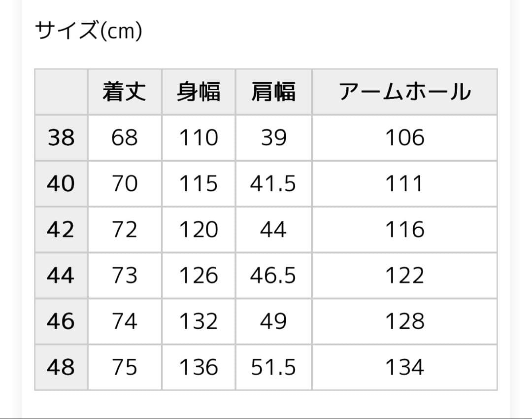 完売カラーレアサイズ⭐️ロッキーマウンテン クリスティー ダウンベスト 44サイズ