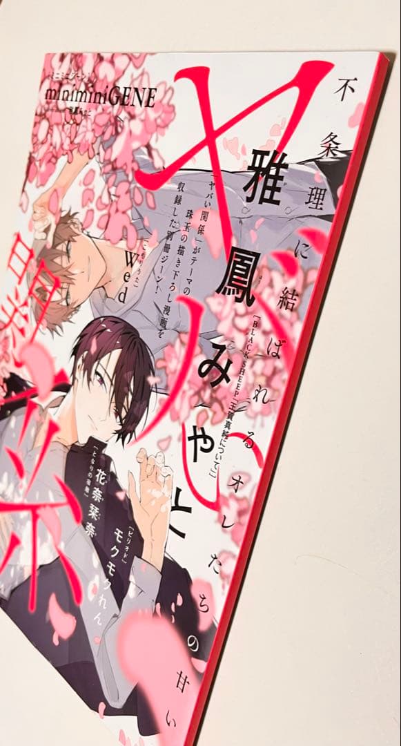月刊コミックジーン　ミニミニジーン　ヤバい関係　2021年　6月号　特別付録