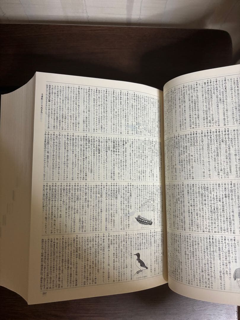 広辞苑 第七版 付録付き