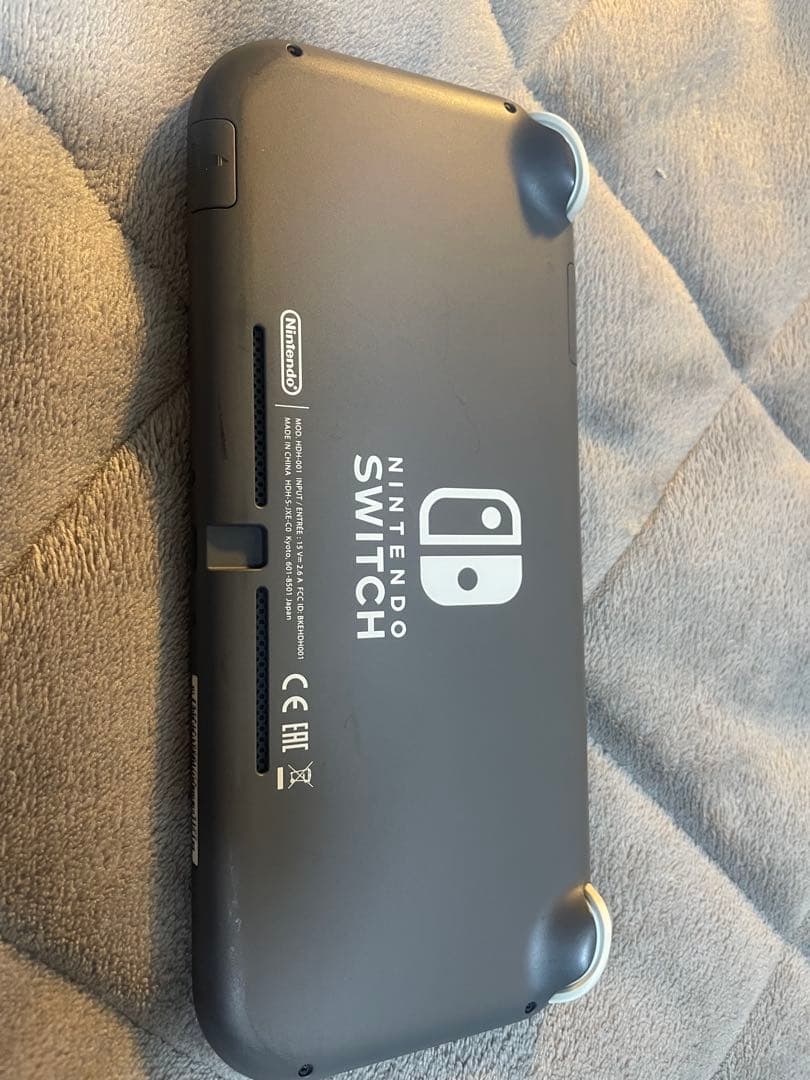 Nintendo Switch Lite グレー　充電器付き