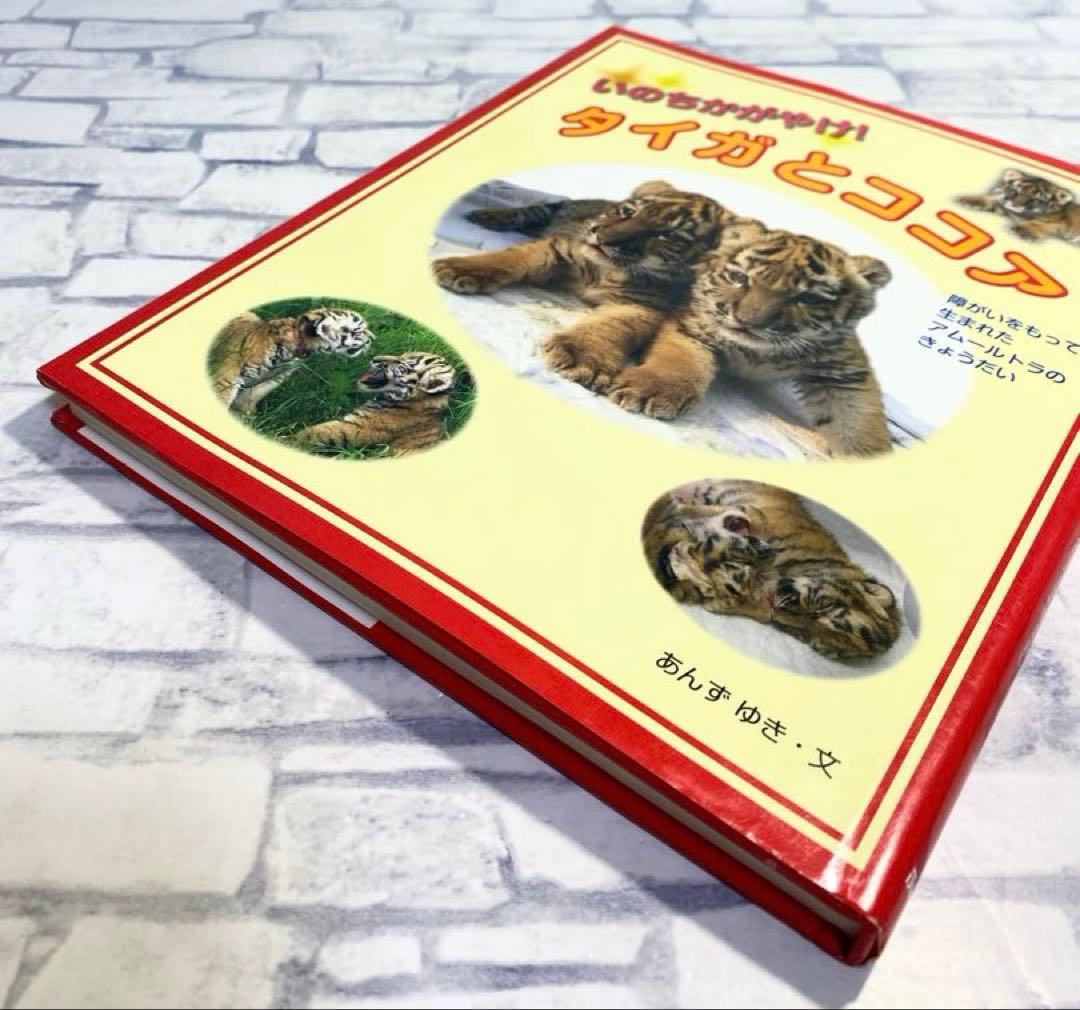 いのちかがやけ!タイガとココア : 障がいをもって生まれたアムールトラのきょう…