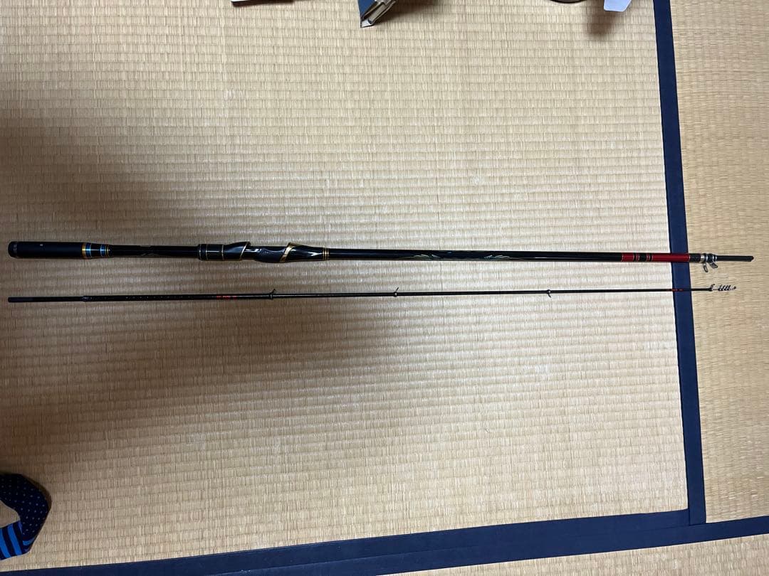 マスターモデルII 口太　MH 5.3m 破損