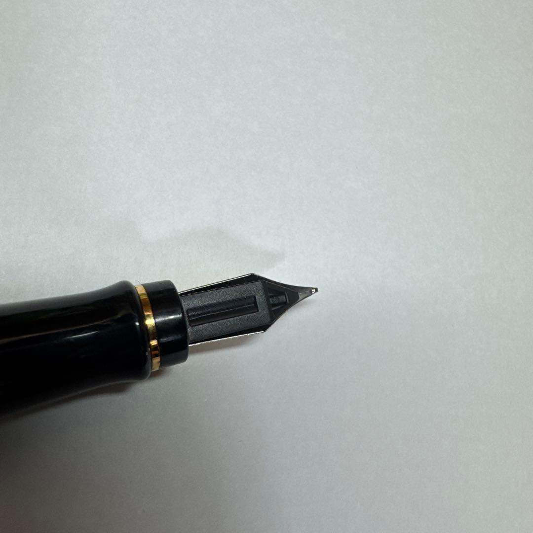 Waterman 万年筆　いん