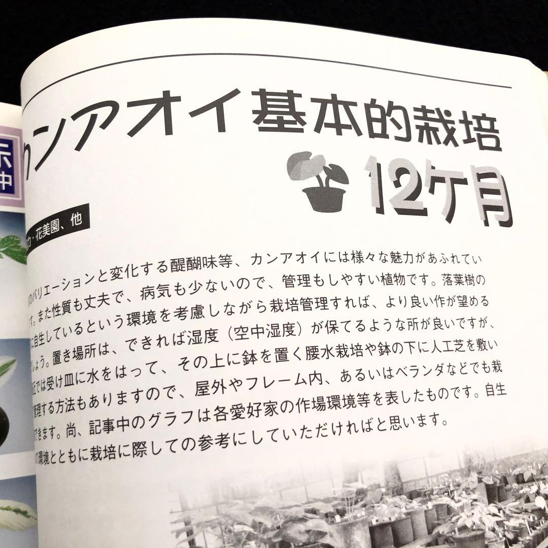 【絶版】「人気の斑入りカンアオイ・斑入り山野草 Vol.2」千早書房