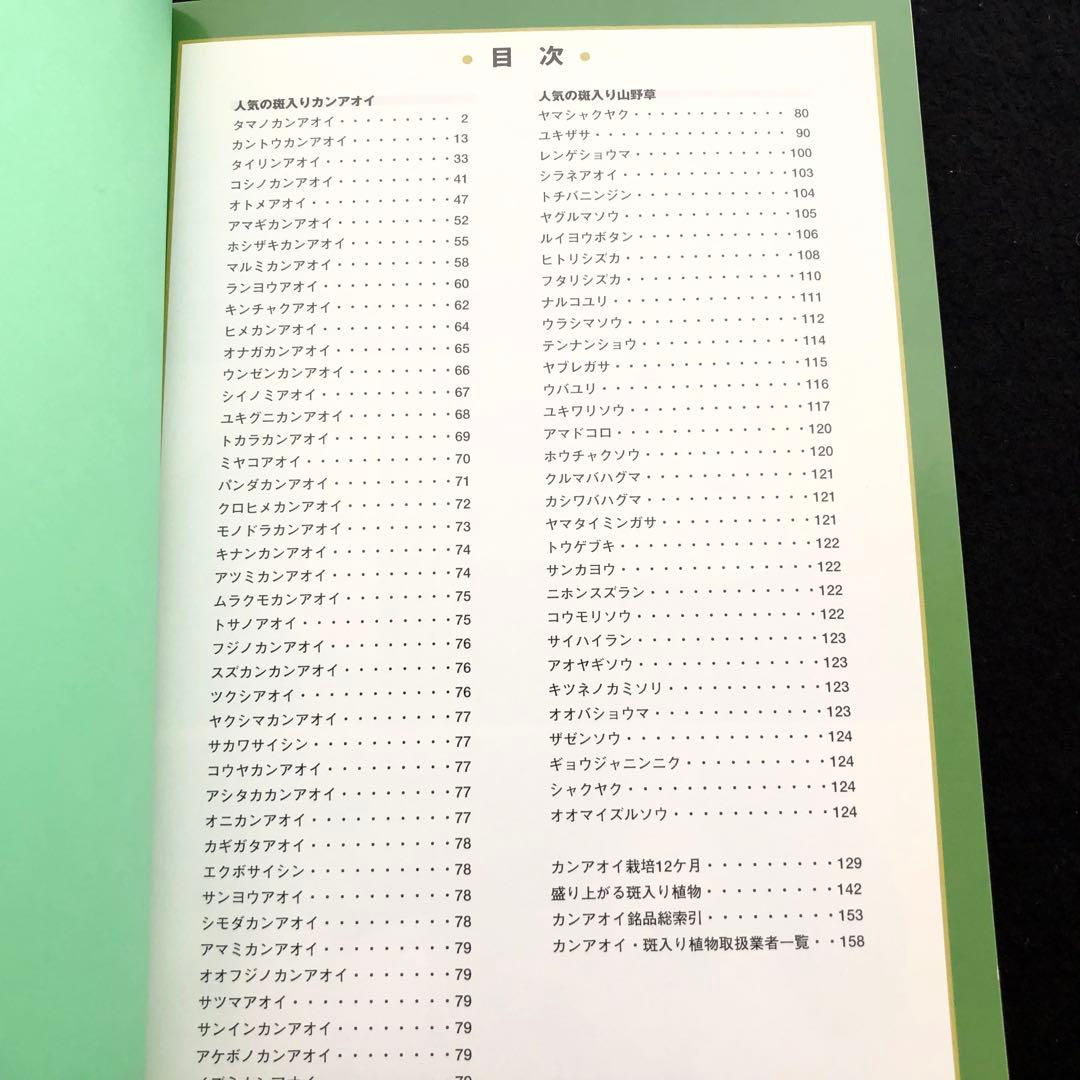 【絶版】「人気の斑入りカンアオイ・斑入り山野草 Vol.2」千早書房