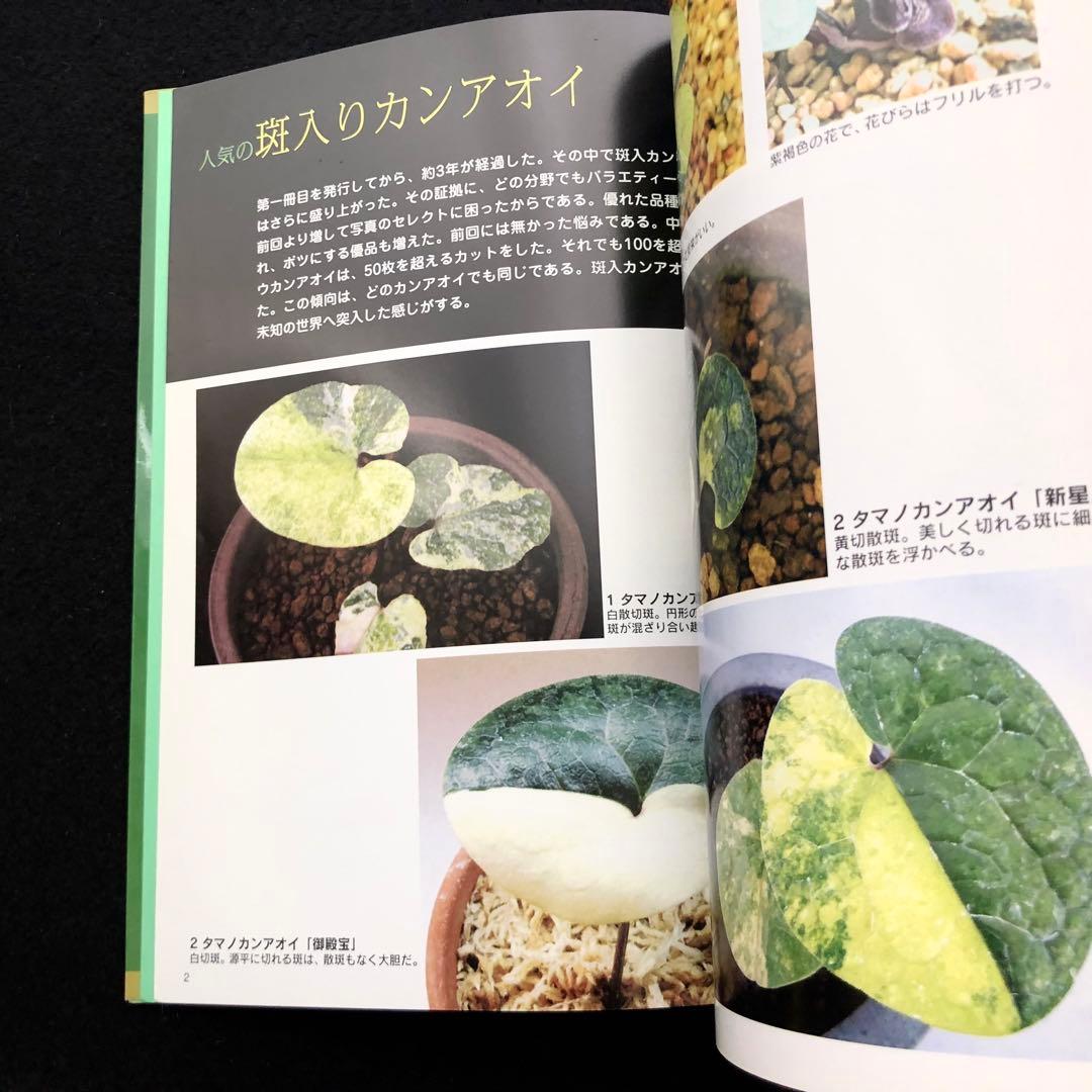 【絶版】「人気の斑入りカンアオイ・斑入り山野草 Vol.2」千早書房