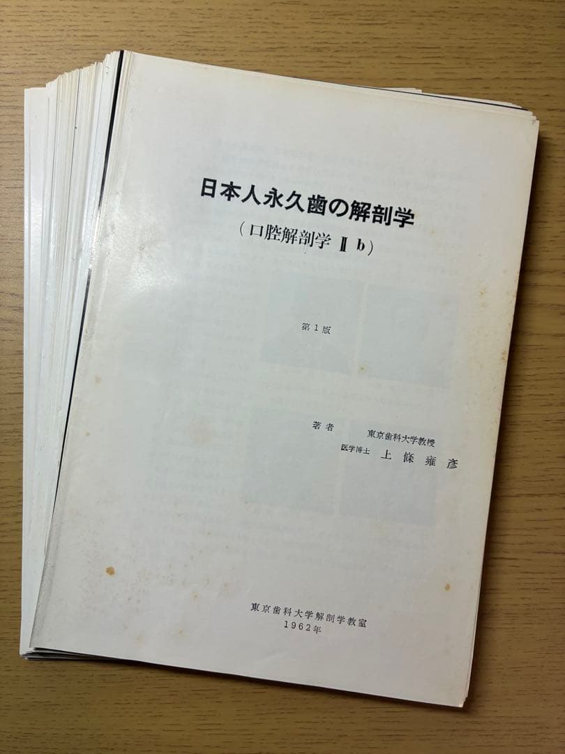 【裁断済】日本人永久歯解剖学