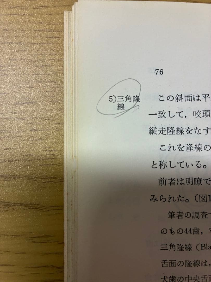 【裁断済】日本人永久歯解剖学