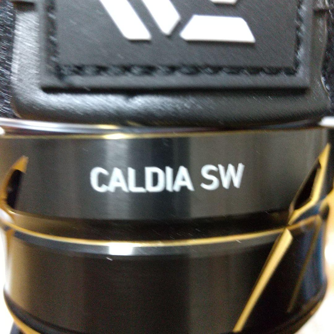 22カルディア SW 8000-H