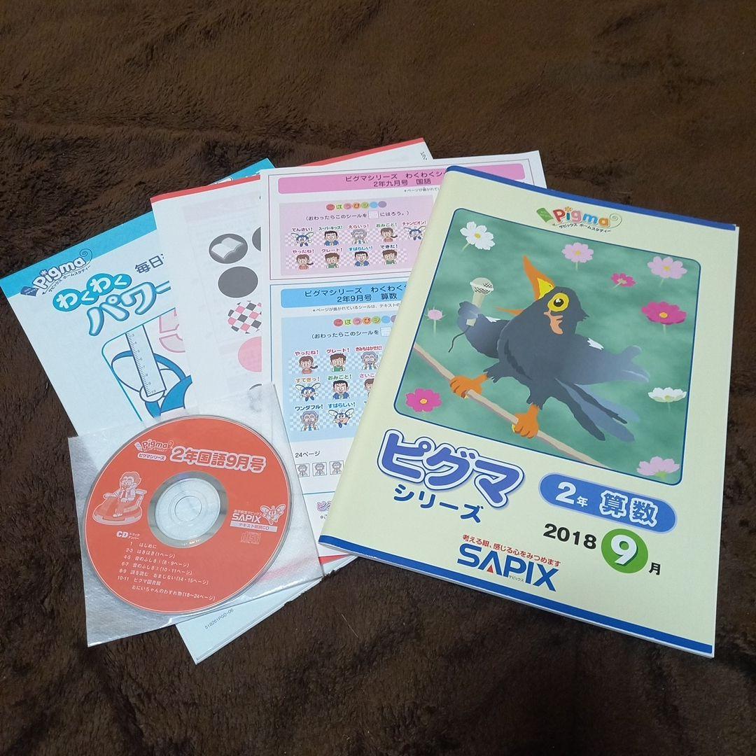 【たまさん専用】ピグマ シリーズ 2年生 9月~3月