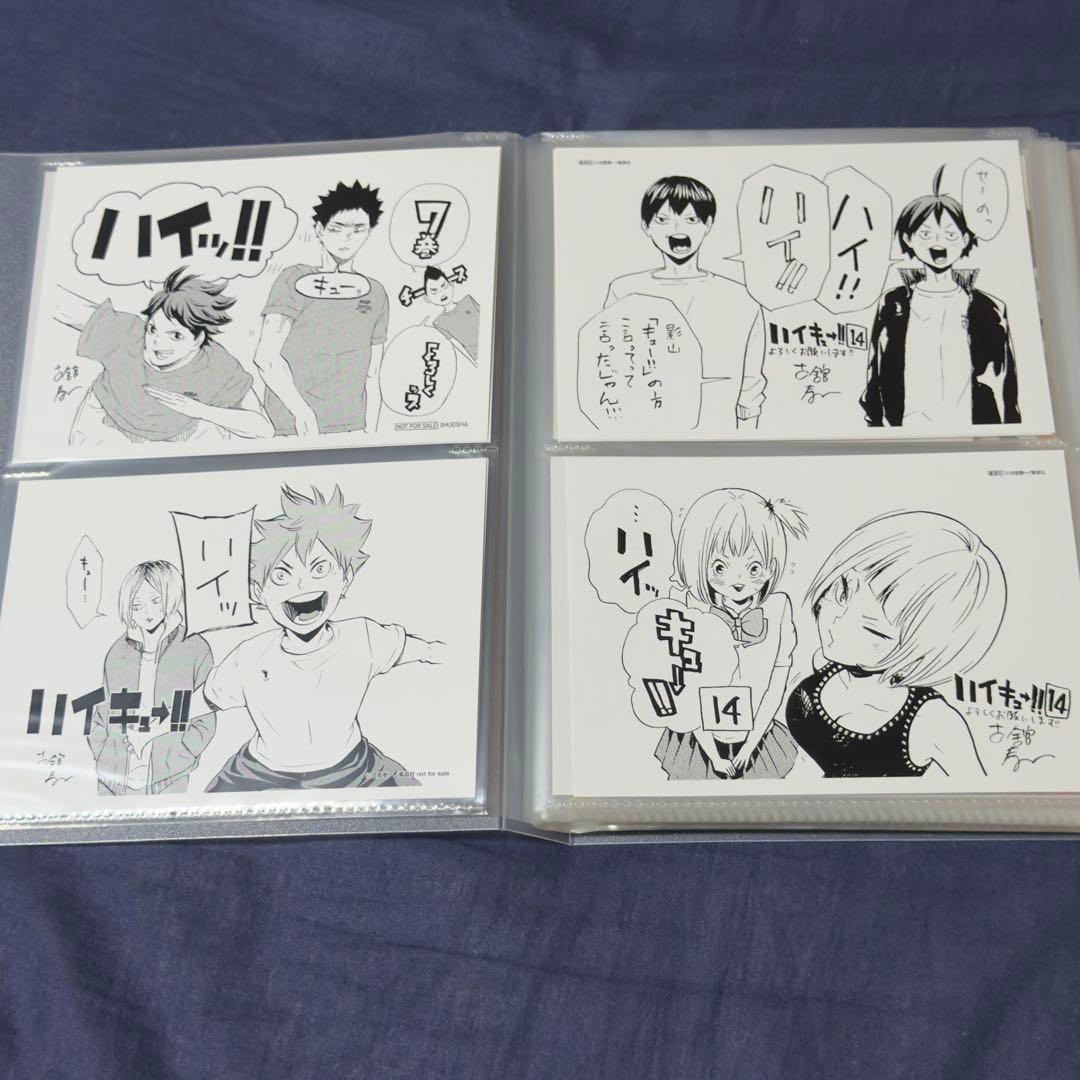ハイキュー!! 全45巻 関連本 DVD付 特装版 52冊