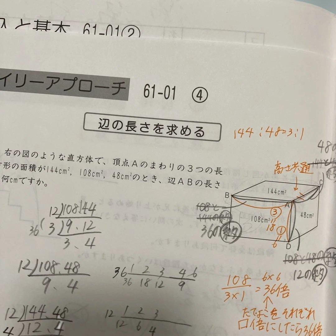小学6年生 Daily SapiX 算数 教材
