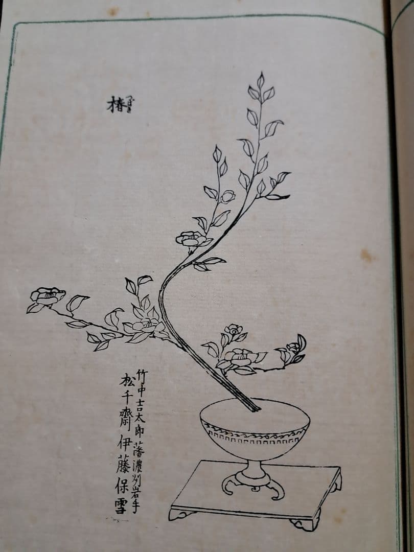 大正六年『生花古流百巻 』上下巻 松山堂書店 松公齋理伯 藤井利八