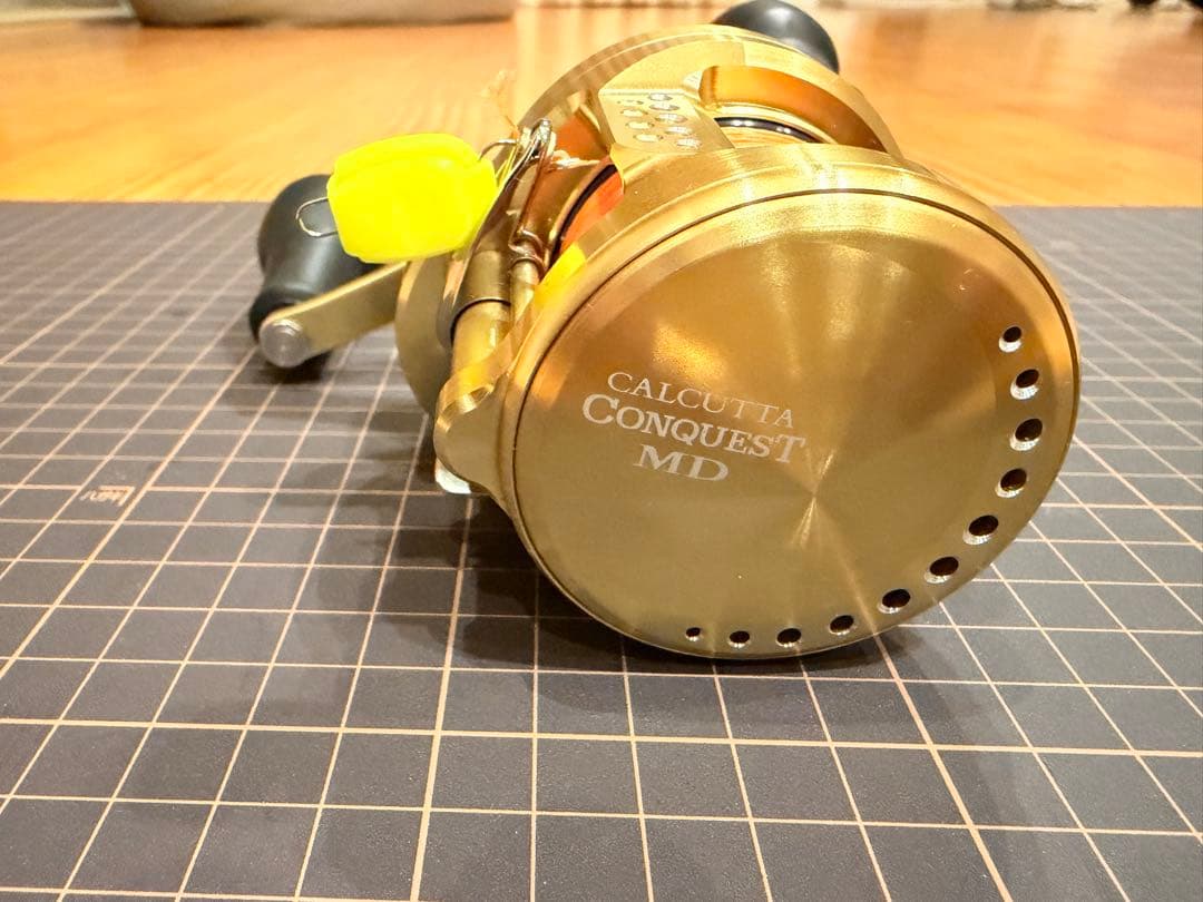 カルカッタコンクエストMD 300 XGLH