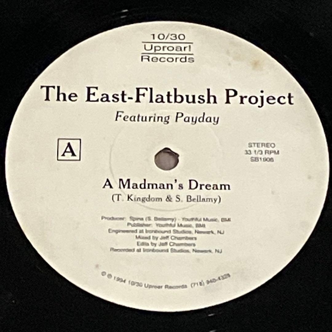 East-Flatbush Project – A Madman's Dream