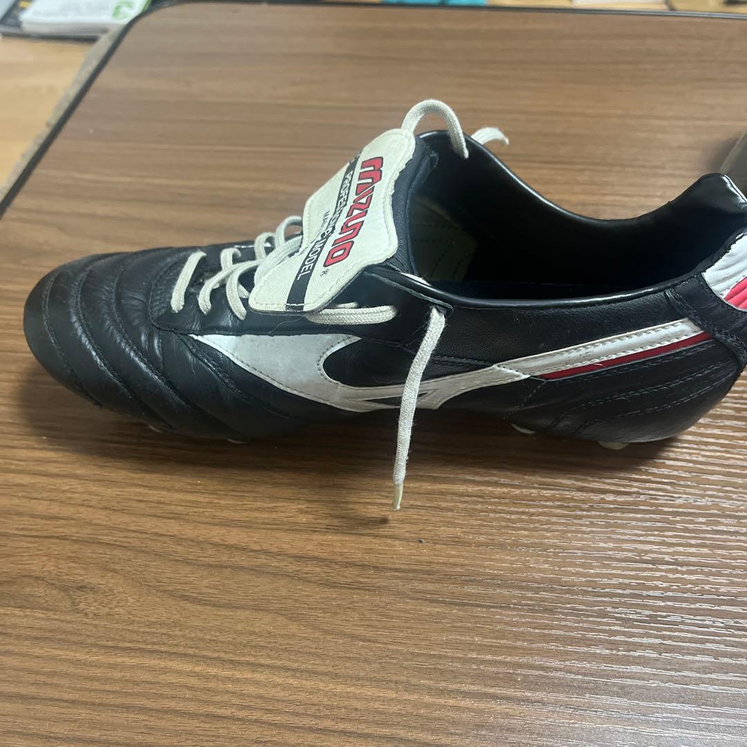 みとうまさん　専用 Mizuno Professional Model