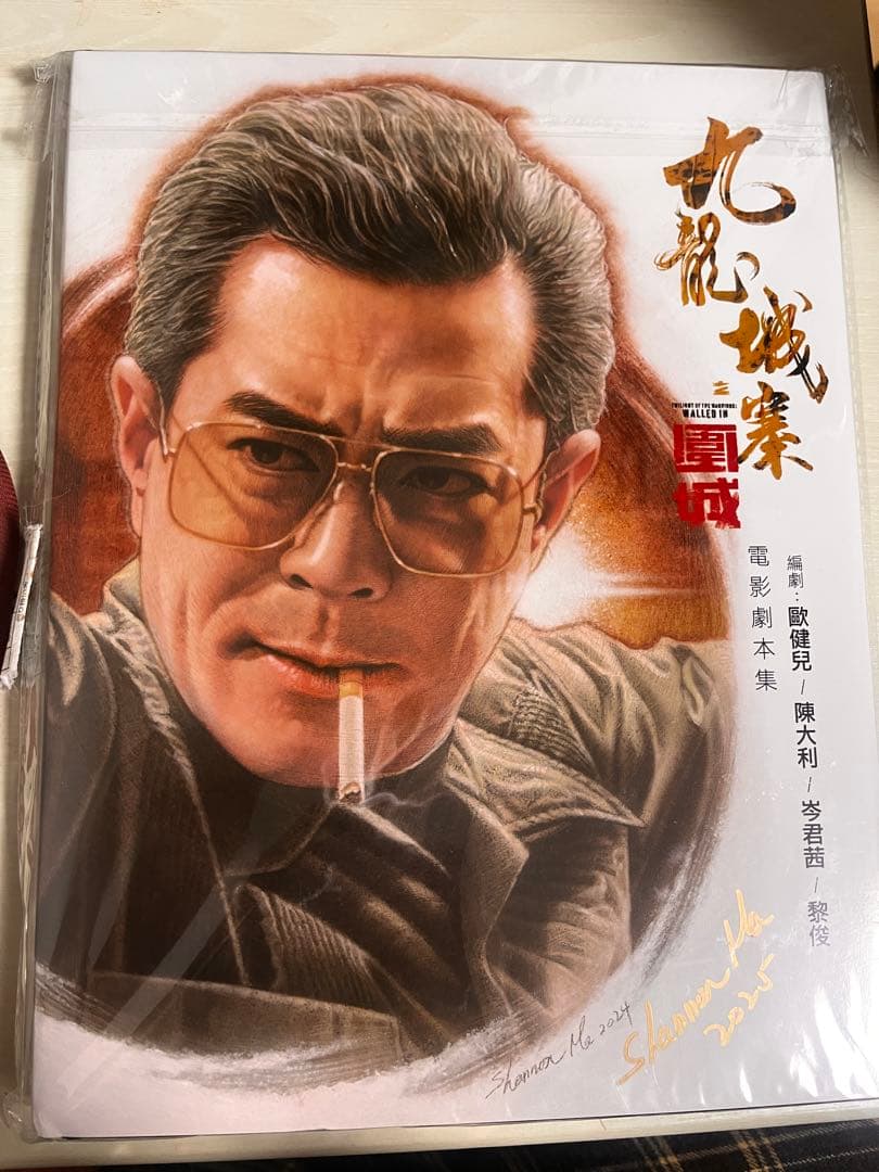 トワイライトウォリアーズ九龍城砦　映画シナリオ集写真集　龍捲風 ルイス・クー