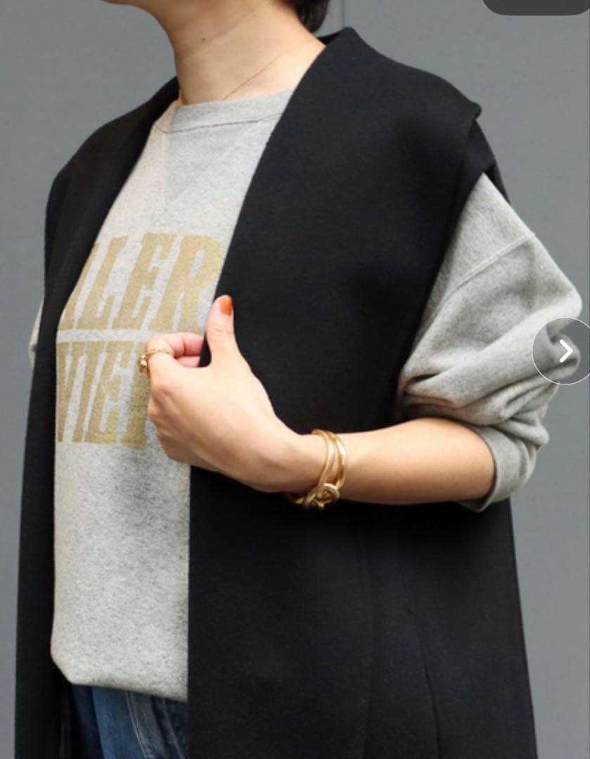 再再お値下げ！IENA ベスト　新品同様！