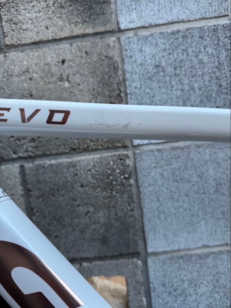 GUSTO COBRA EVO DB ELITE ロードバイク