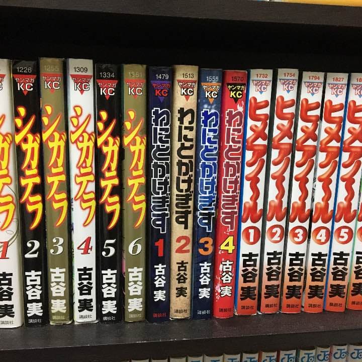 わにとかげぎす