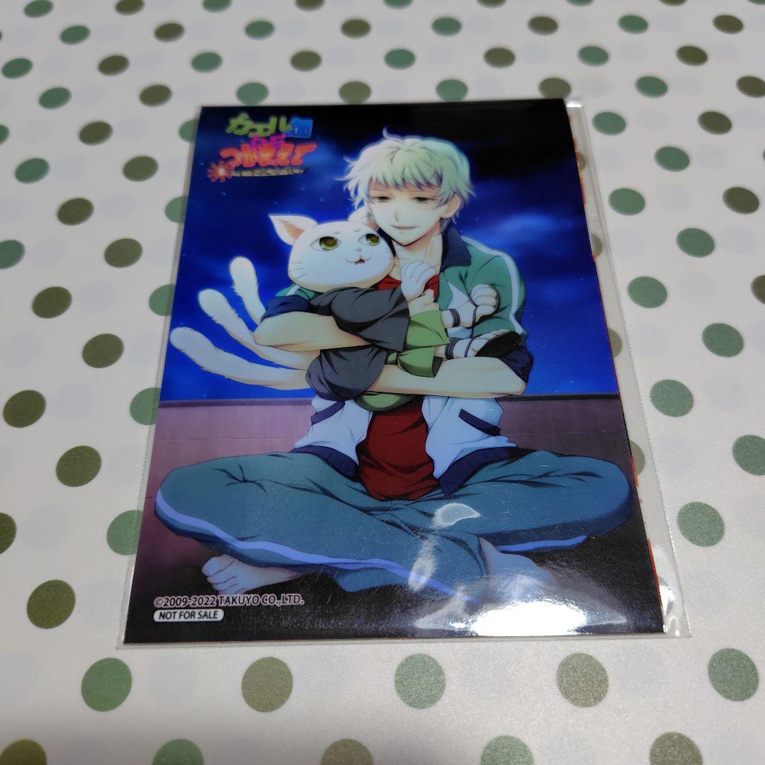 カエル畑DEつかまえて 夏 千木良参戦！