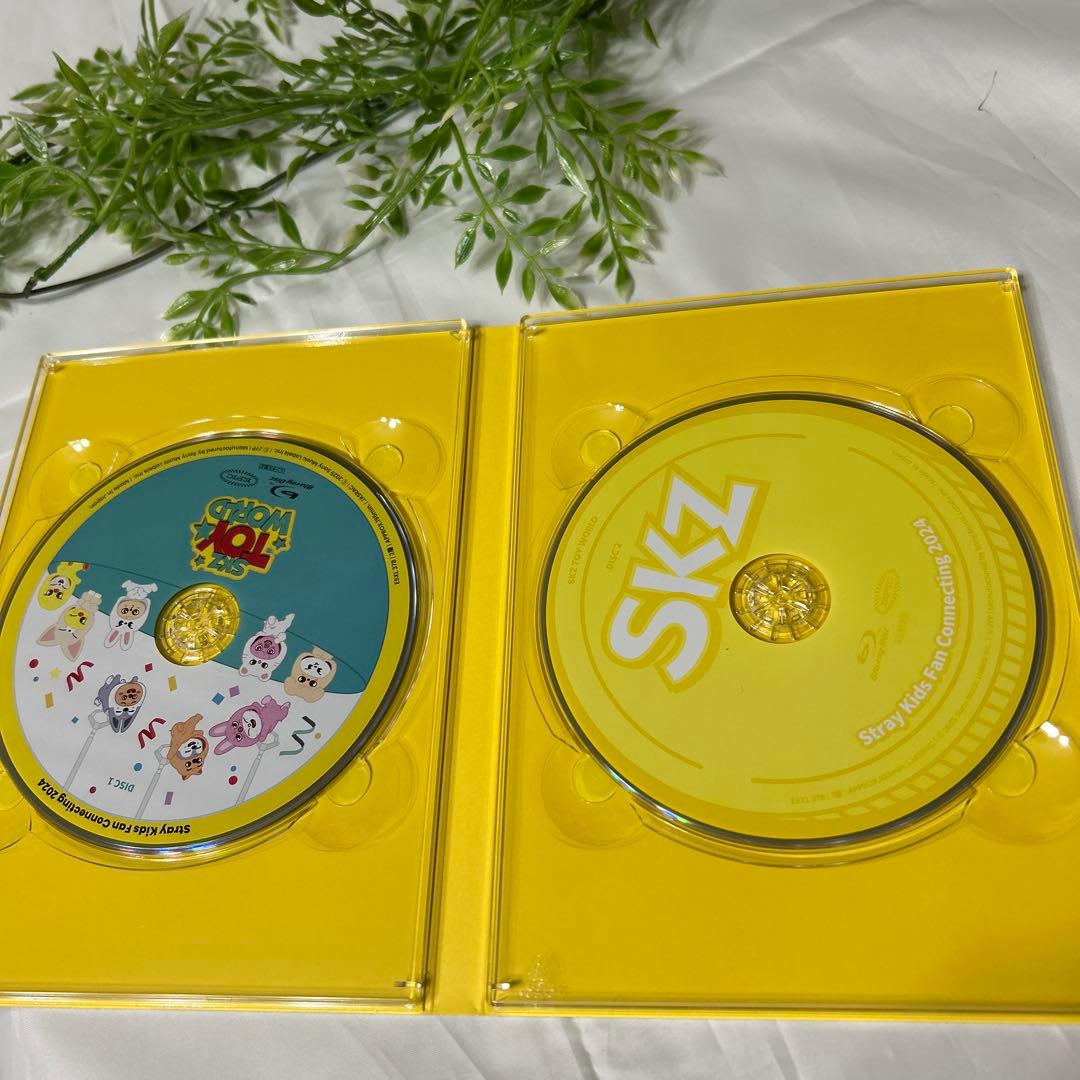 Stray Kids トイワールド完全生産限定盤 Blu-ray