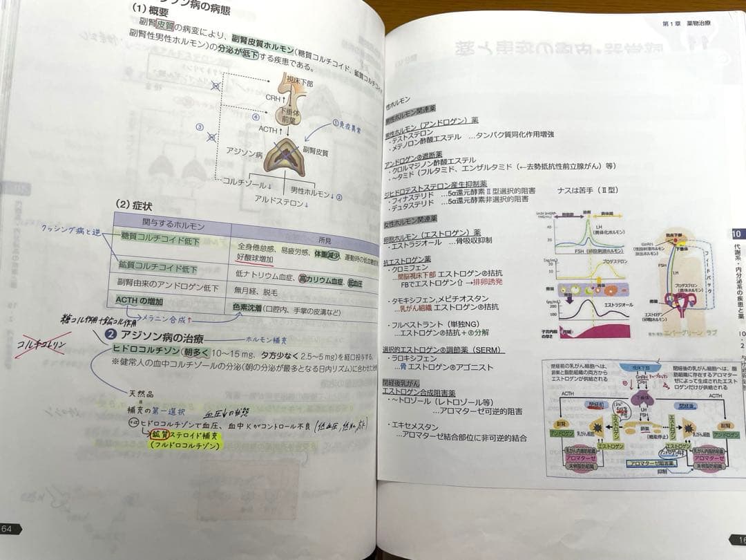 薬剤師国家試験　薬ゼミの要点集セット　9冊セット
