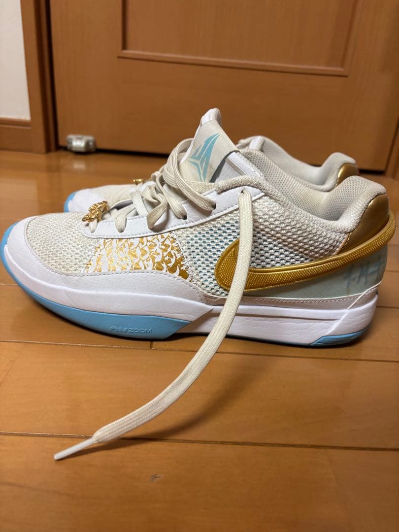 シューズ(男性用) NIKEJA1