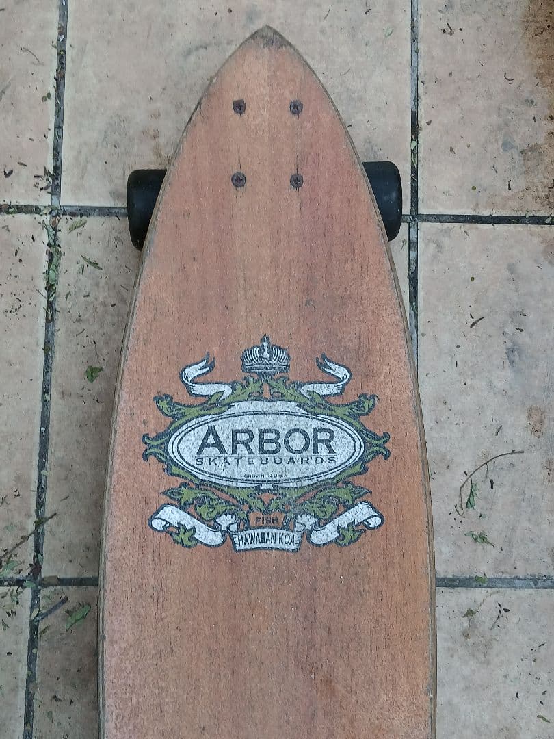Arbor スケートボード　オールドスタイル　サーフィン