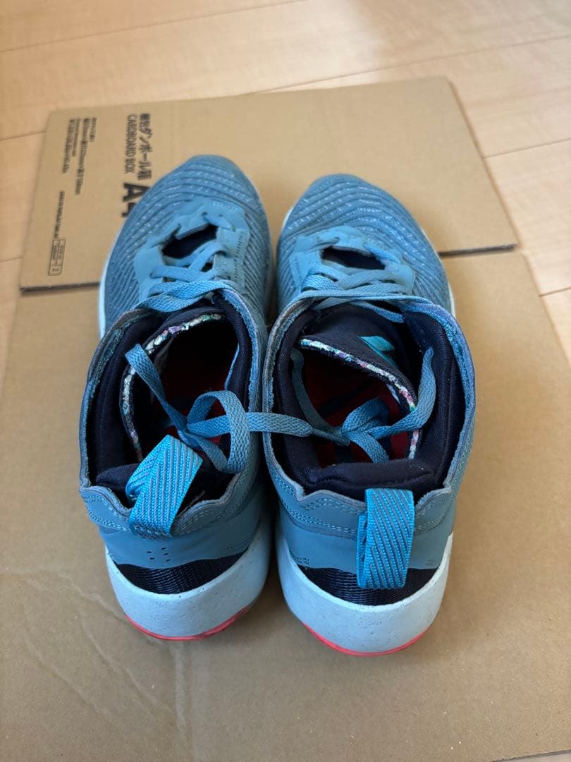 【最終値下げ】JORDAN Luka1 ルカ1 ドンチッチ
