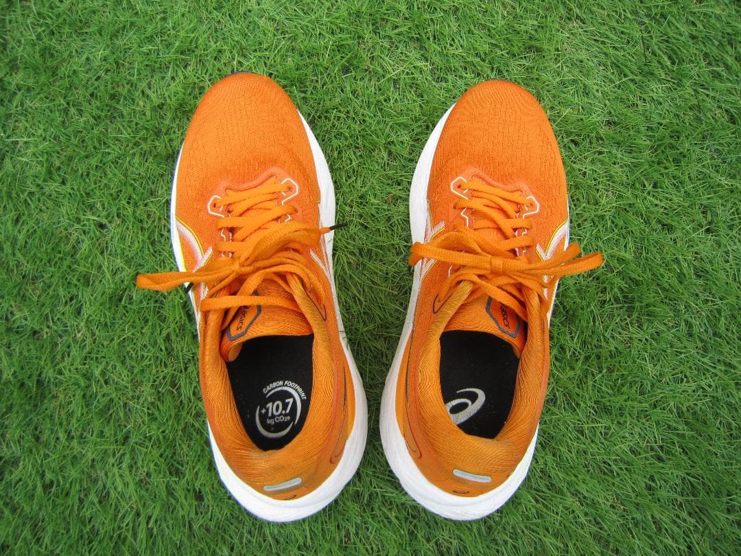 ASICS　GEL-KAYANO　ゲルカヤノ30 26.0cm