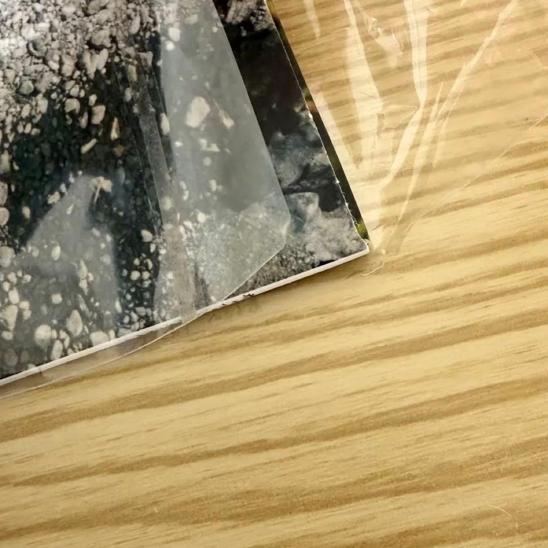 カネコアヤノ 群れたち LP レコード