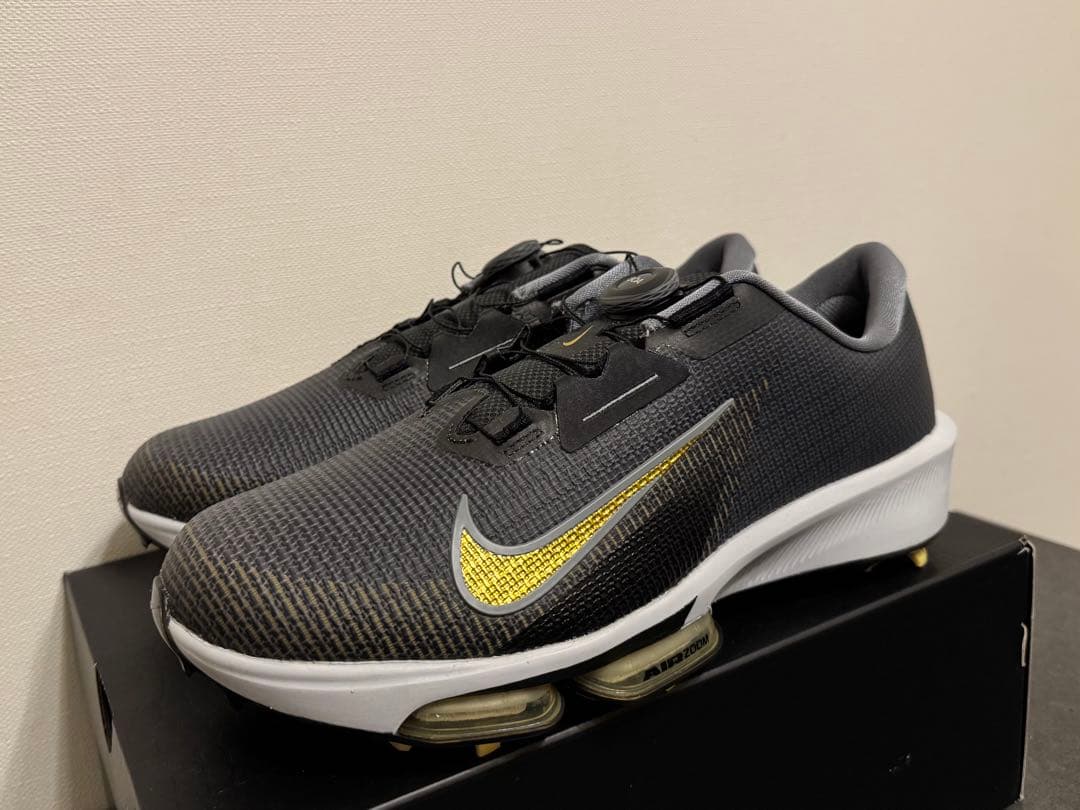 【NIKE】INFINITY TOUR BOA2 (29.5cm)