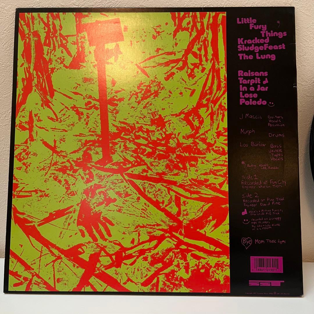 sst盤 Dinosaur Jr You're 〜 ダイナソージュニア マイブラ