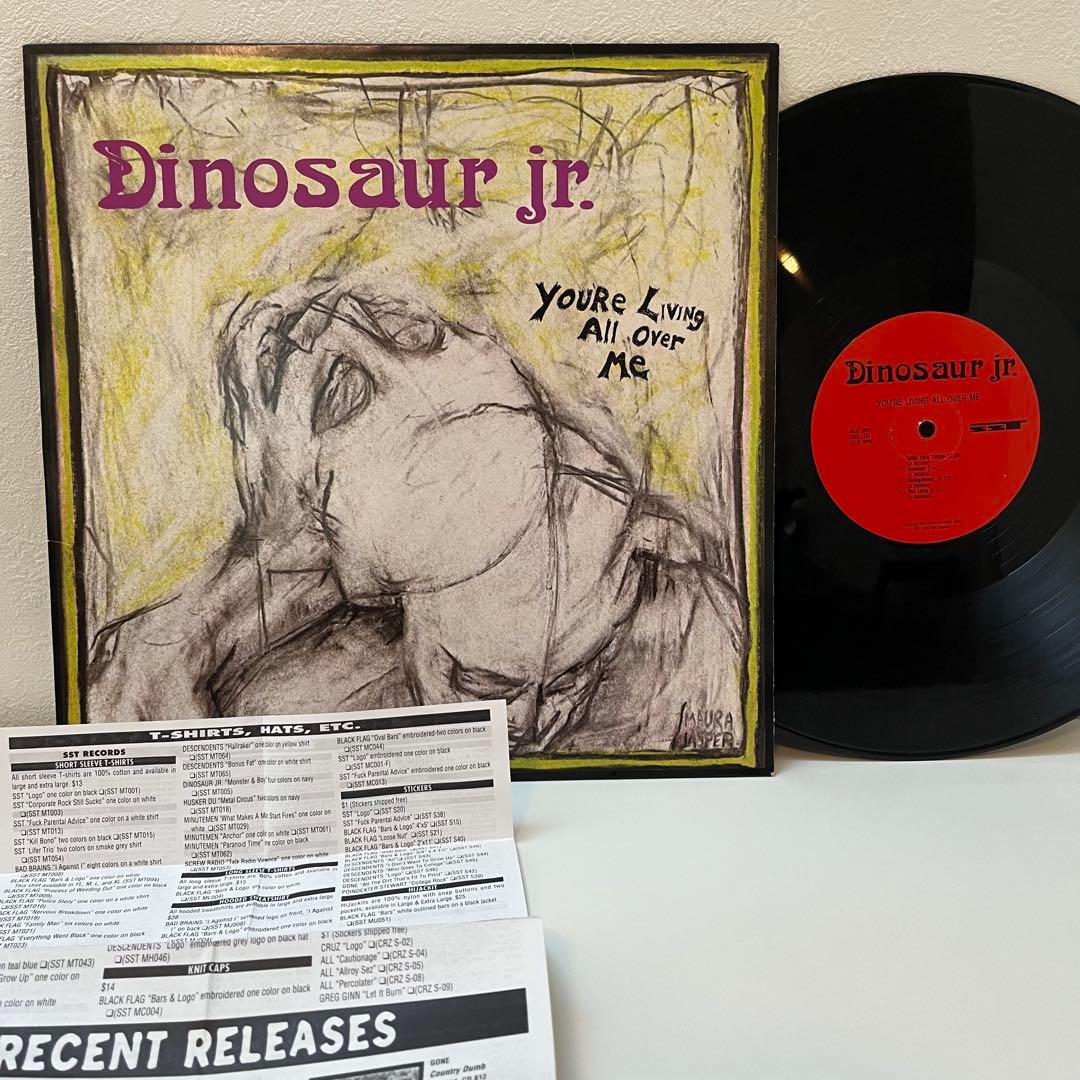 sst盤 Dinosaur Jr You're 〜 ダイナソージュニア マイブラ
