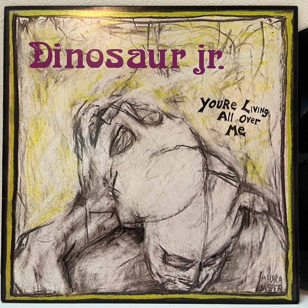 sst盤 Dinosaur Jr You're 〜 ダイナソージュニア マイブラ