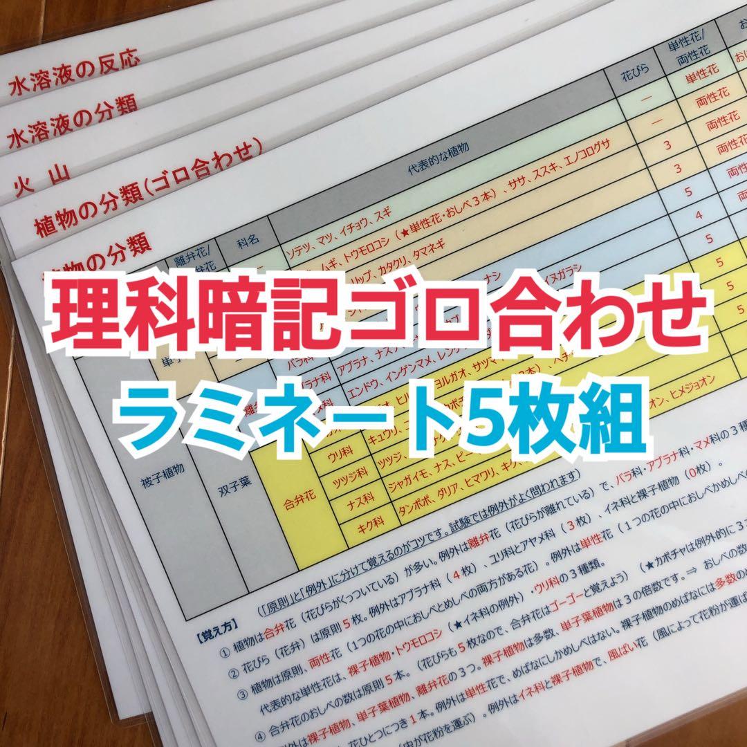 【中学受験】地理データバンク　他5点
