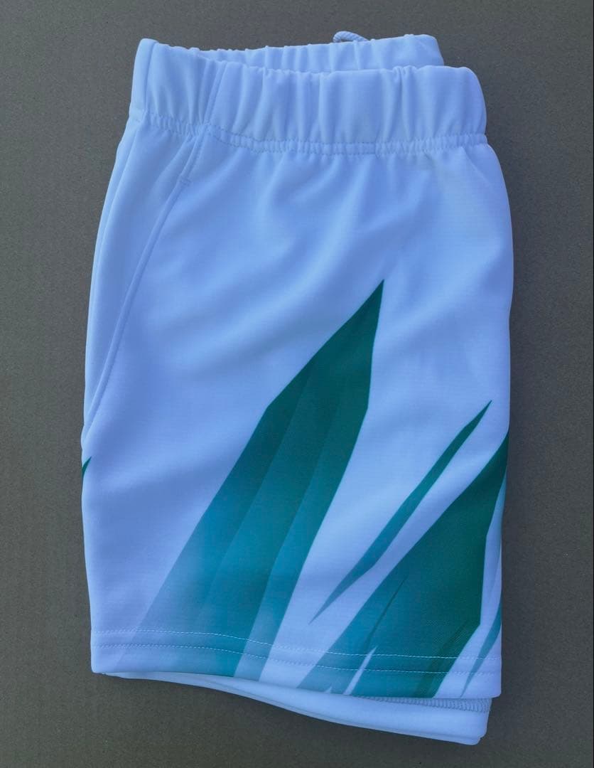 YONEX '25 ソフトテニス日本代表モデル ショートパンツ(WOMEN)